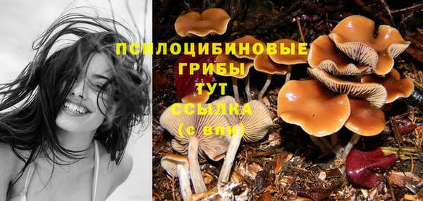 первитин Богородицк