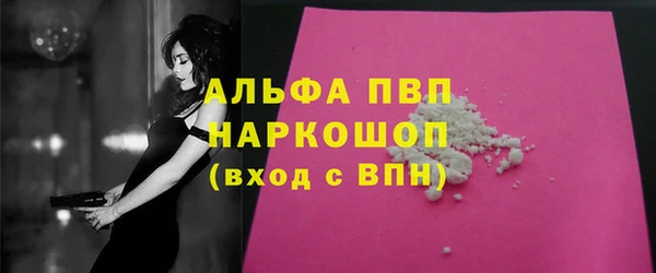 ГАЛЛЮЦИНОГЕННЫЕ ГРИБЫ Белокуриха