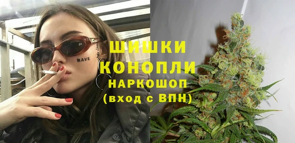 первитин Богданович