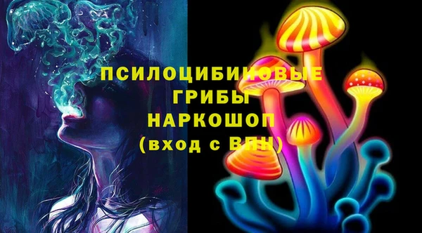 первитин Богданович
