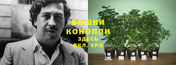 первитин Богданович
